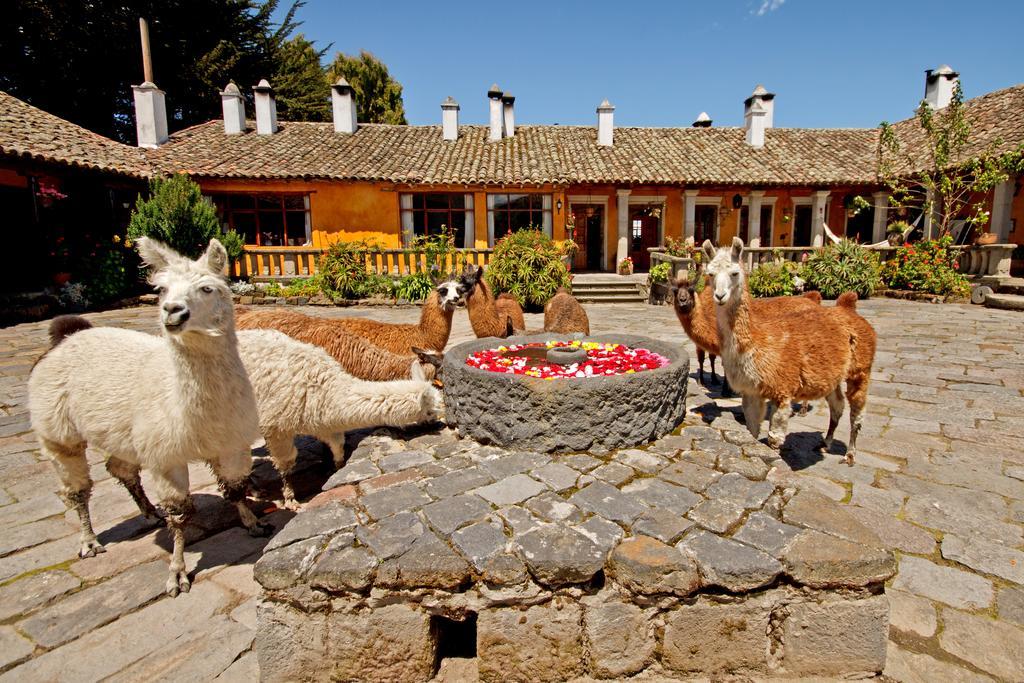Hacienda San Agustin De Callo Lasso Zewnętrze zdjęcie
