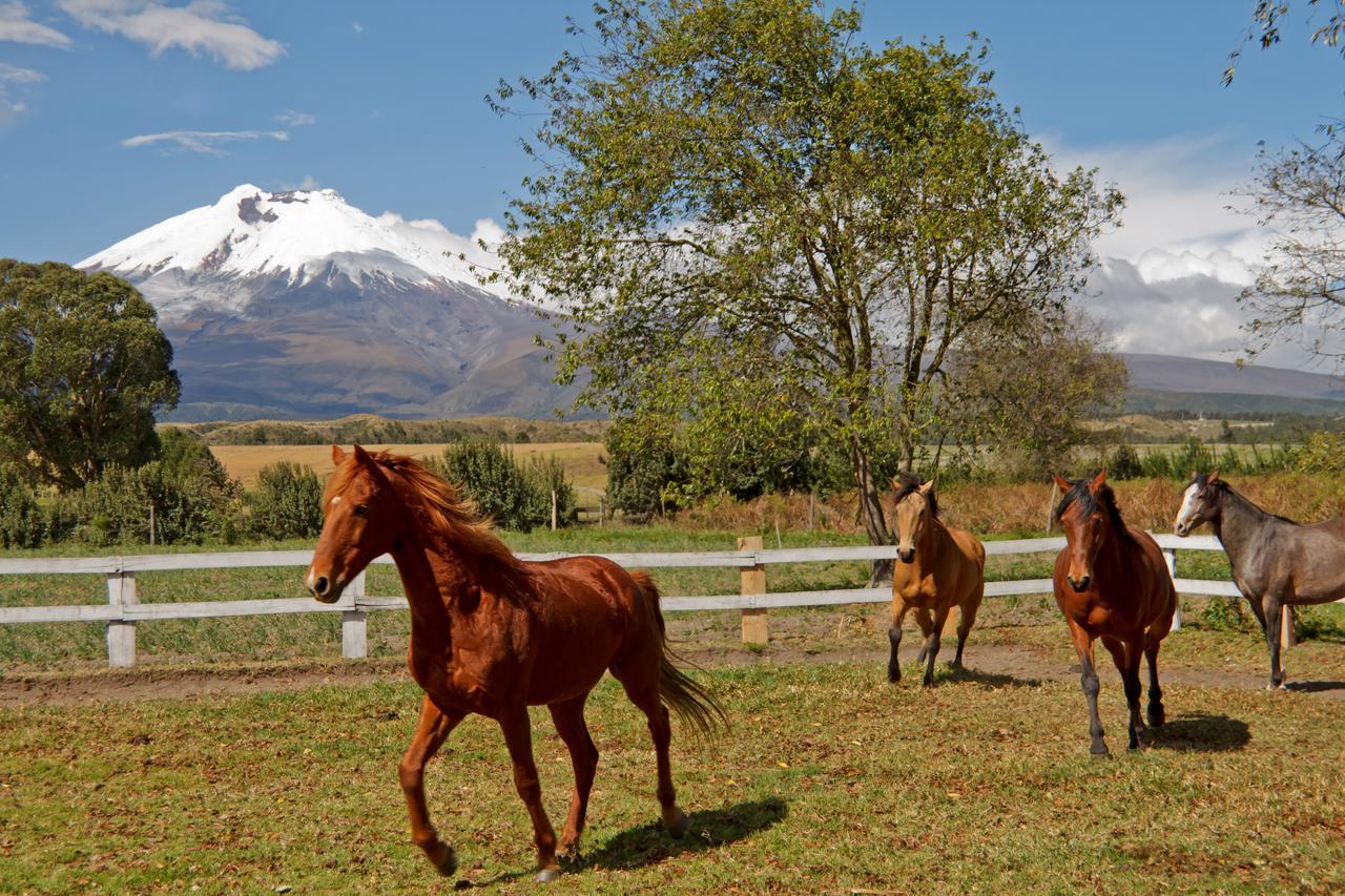 Hacienda San Agustin De Callo Lasso Zewnętrze zdjęcie